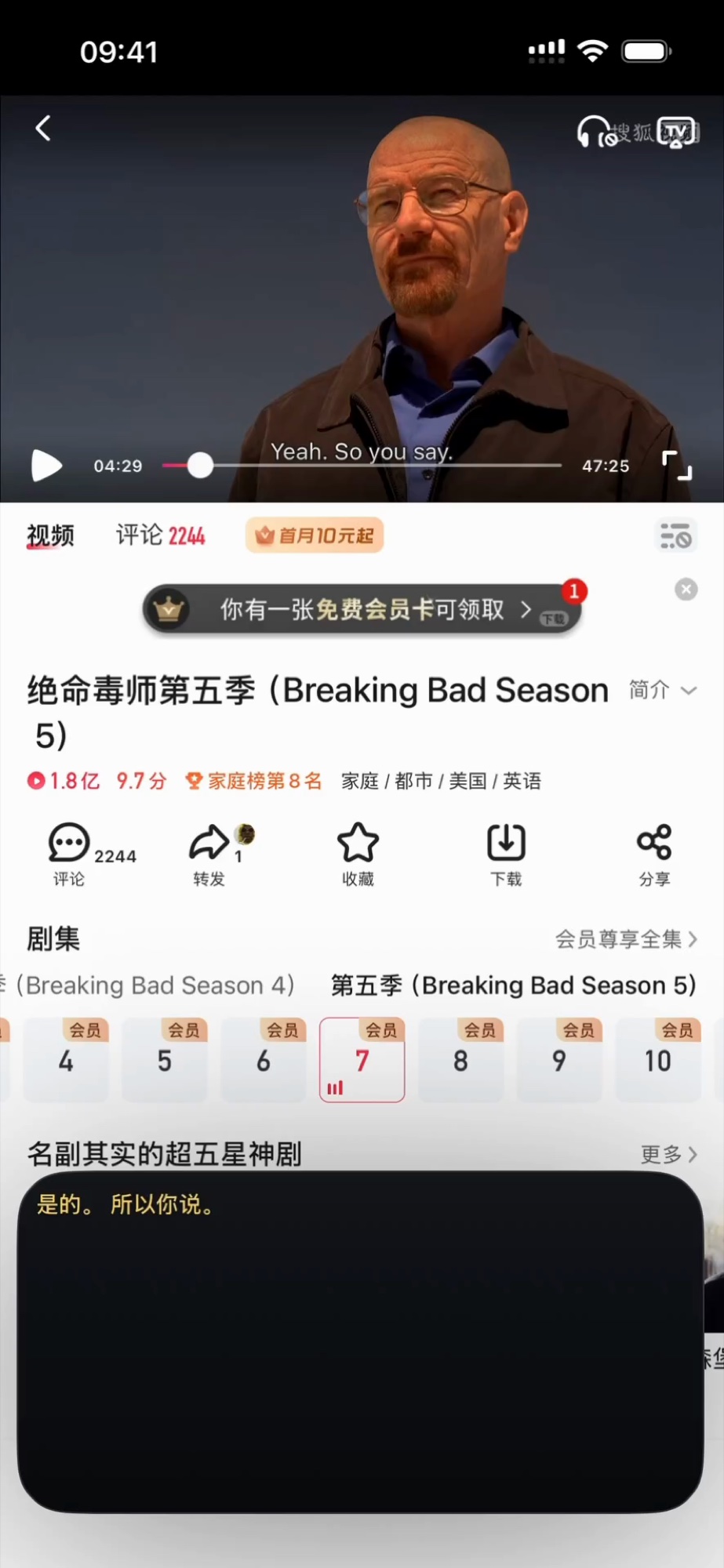 固定区域翻译运行中 —— 只识别字幕那一行，译文显示在下方窗口